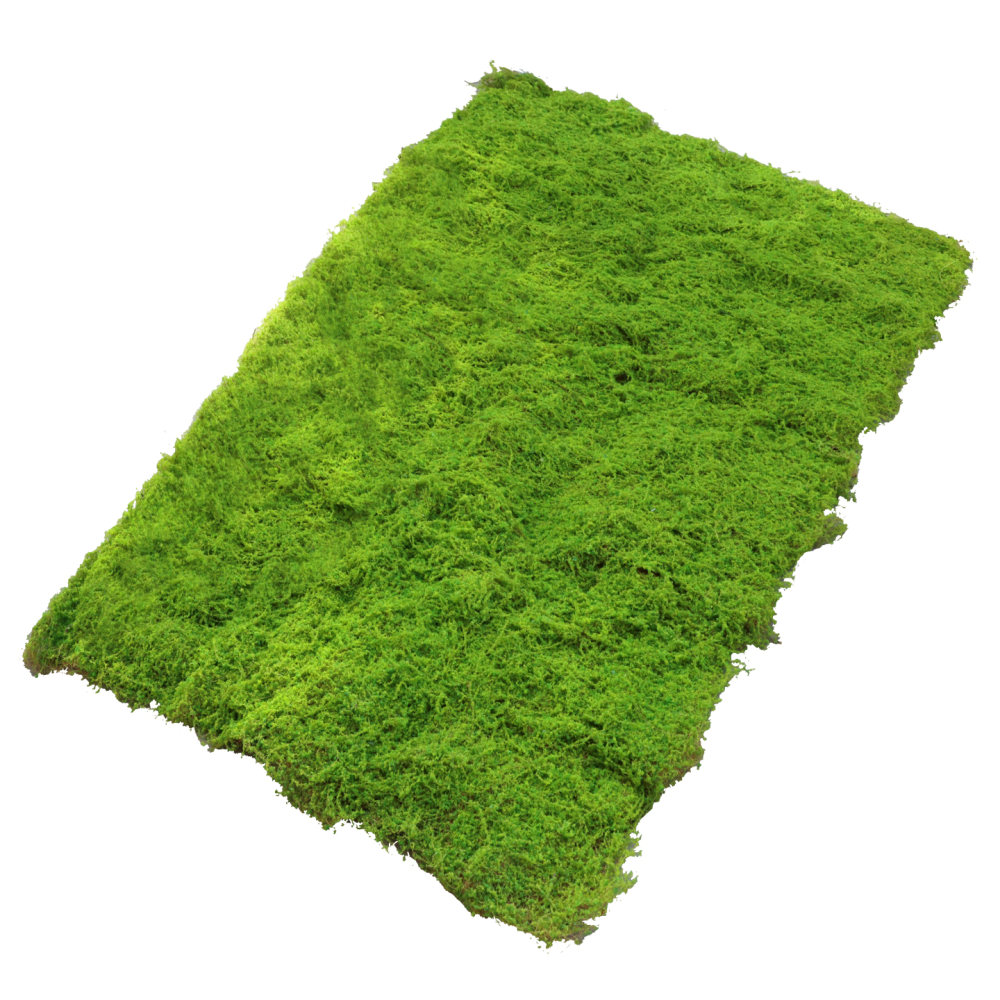 Preserved Moss Sheet - Tapete de musgo artificial, folha de