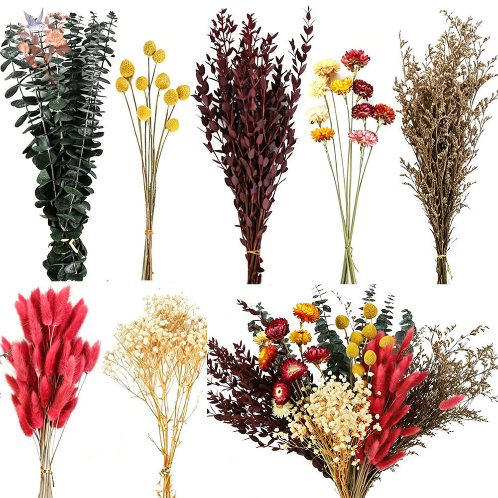 Florist Flower Supply - Conjunto de Flores Secas a Granel,
