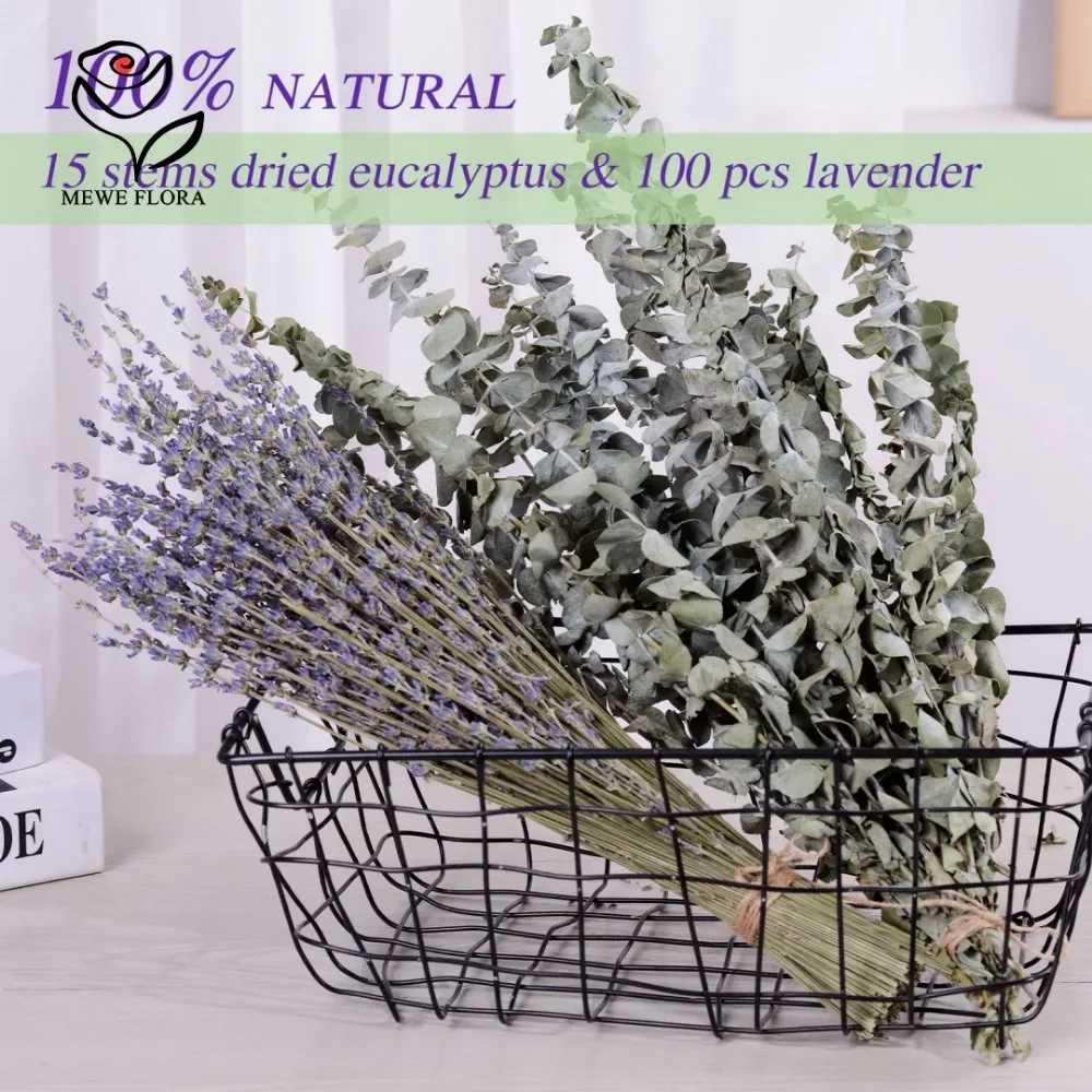 30 peças flores secas preserva - Eucalyptus Preserved avaliação e preço